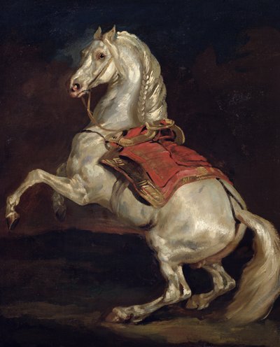 Napoleon